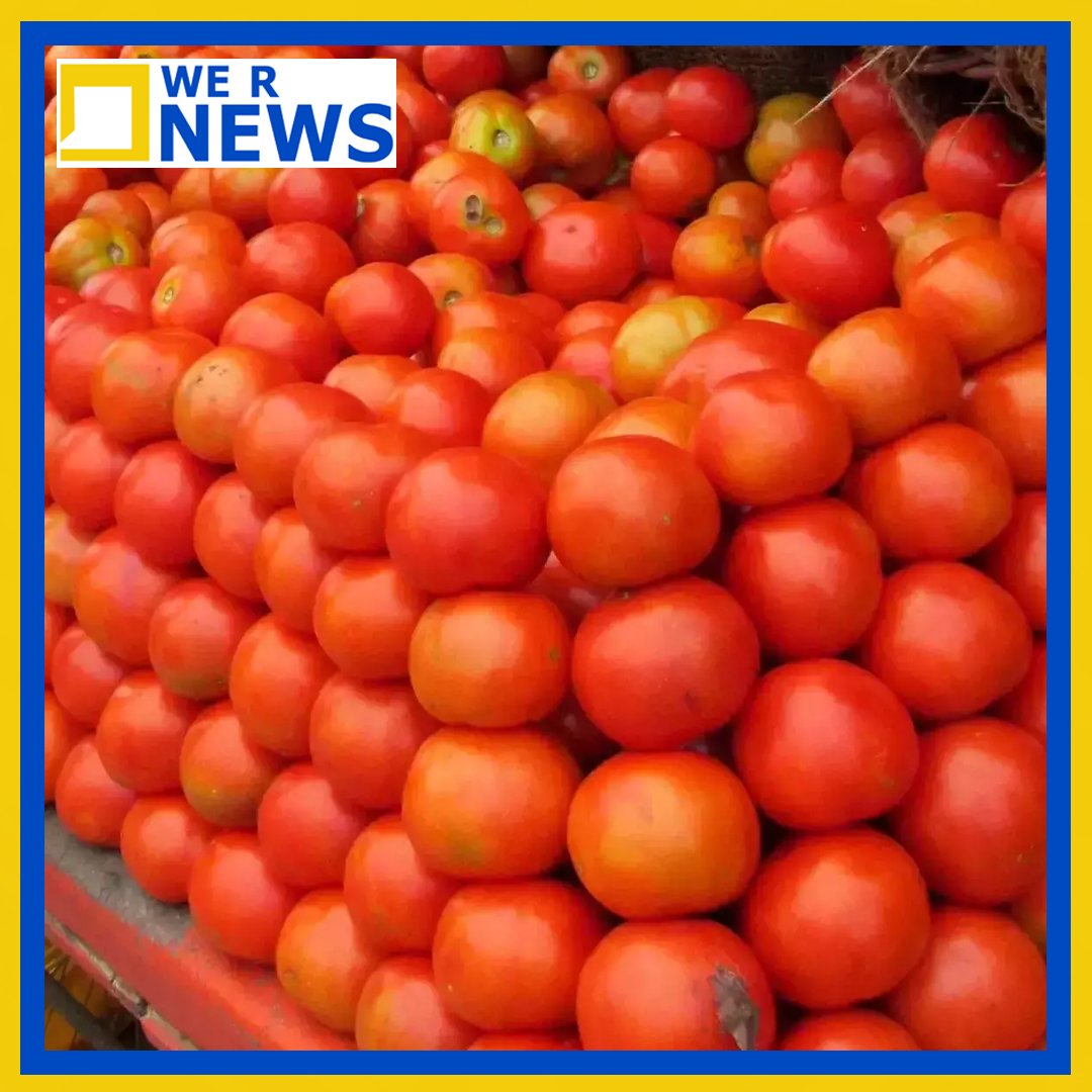 Tomato Cheap Online, Tomato Crisis, Subsidised Tomatoes