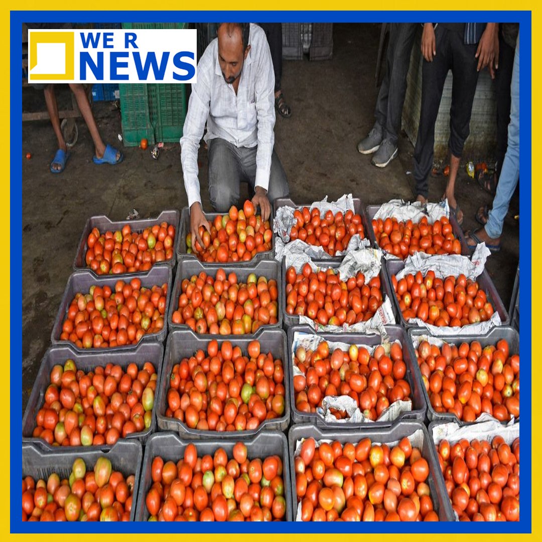 Tomato price hike, tomatoes price, delhi