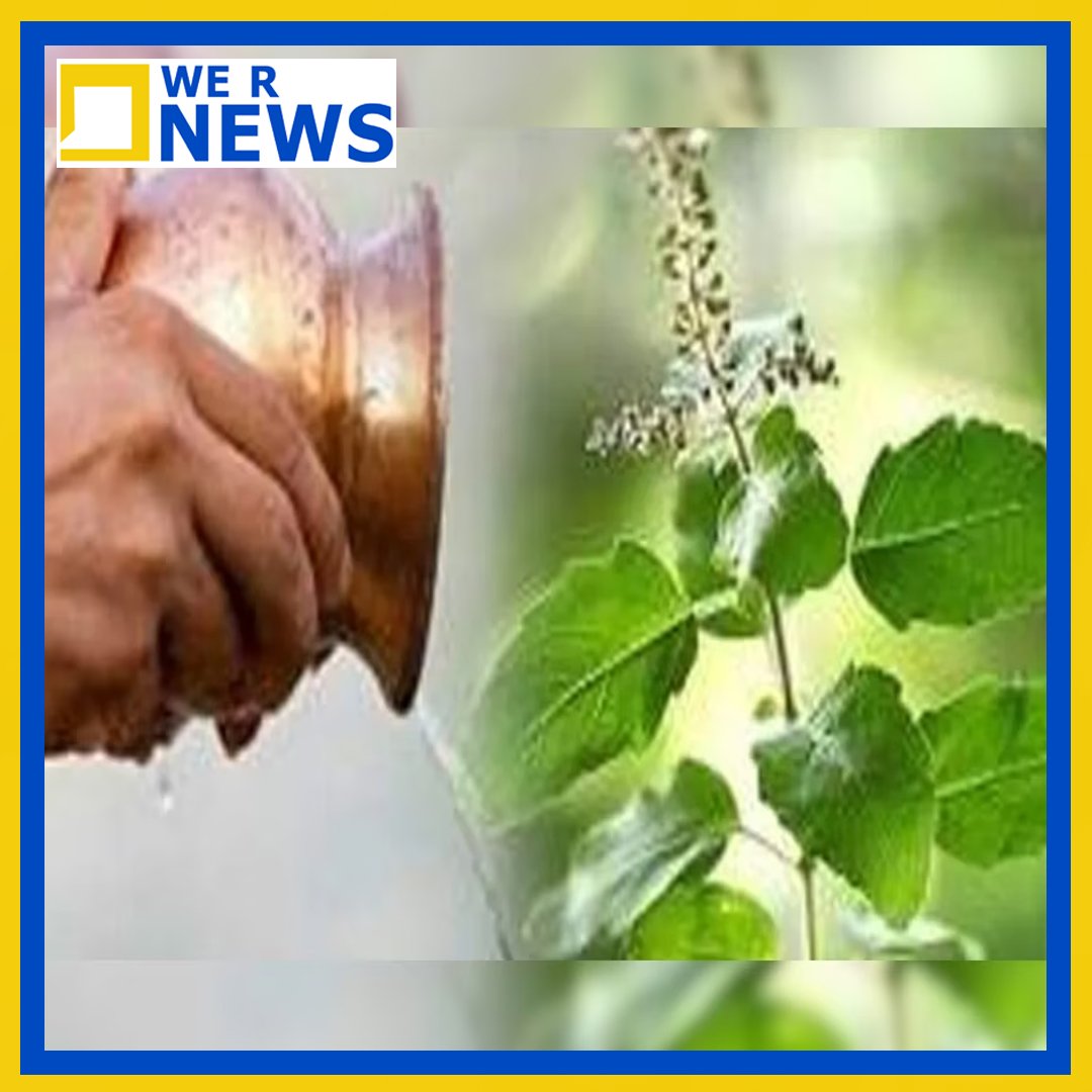 Tulsi Puja, Tulsi Puja Niyam, Astrology